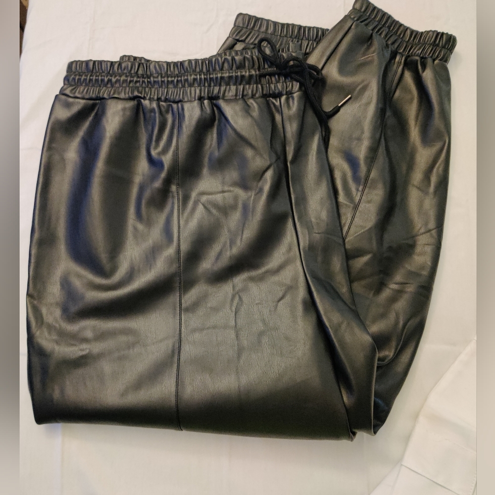 Faux Leather Drawstring Joggers 3X